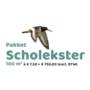 Pakket Scholekster